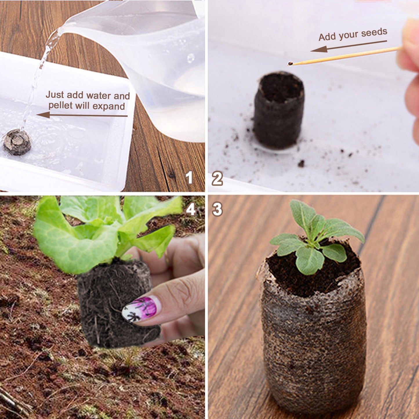 3cm diameter seedling mud