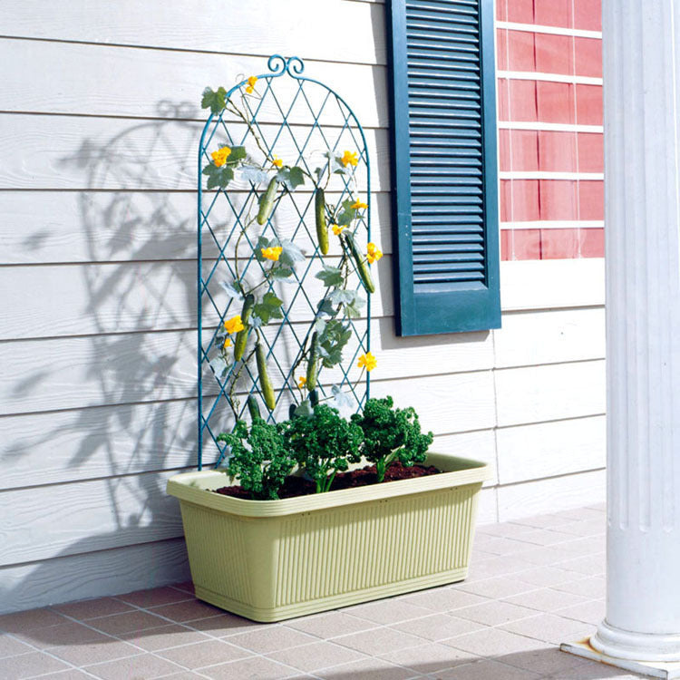 Extra Large Flowerpot Family Balcony Vegetables