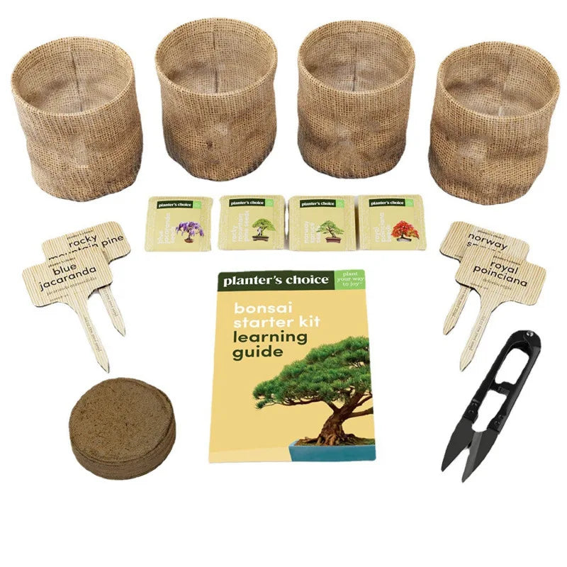 Bonsai Starter Gardening Kit for Adults Bonsai Tree Growing Garden Crafts Kits DIY Hobby for Plant Lovers Unusual Ideas Gifts