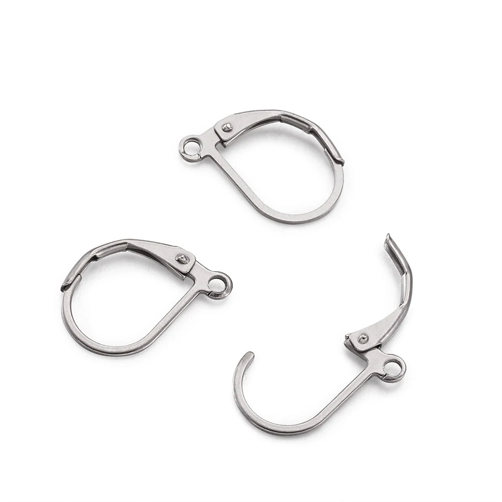 100pcs 304 Stainless Steel Earring Hooks French Leverback Earring Findings with Loop for Hoops Earrings DIY Jewelry Making