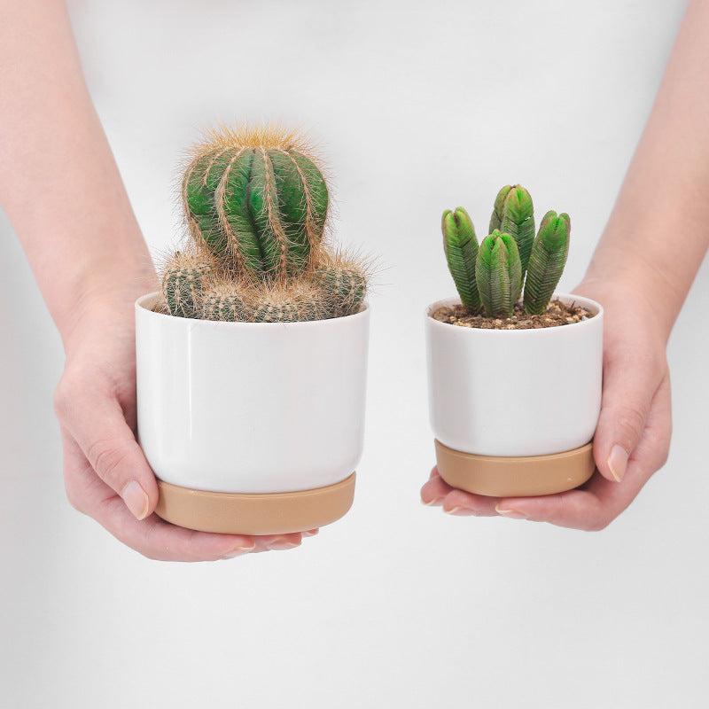 Ceramic Plastic Lazy Person Automatic Water Absorption Small Flower Pot