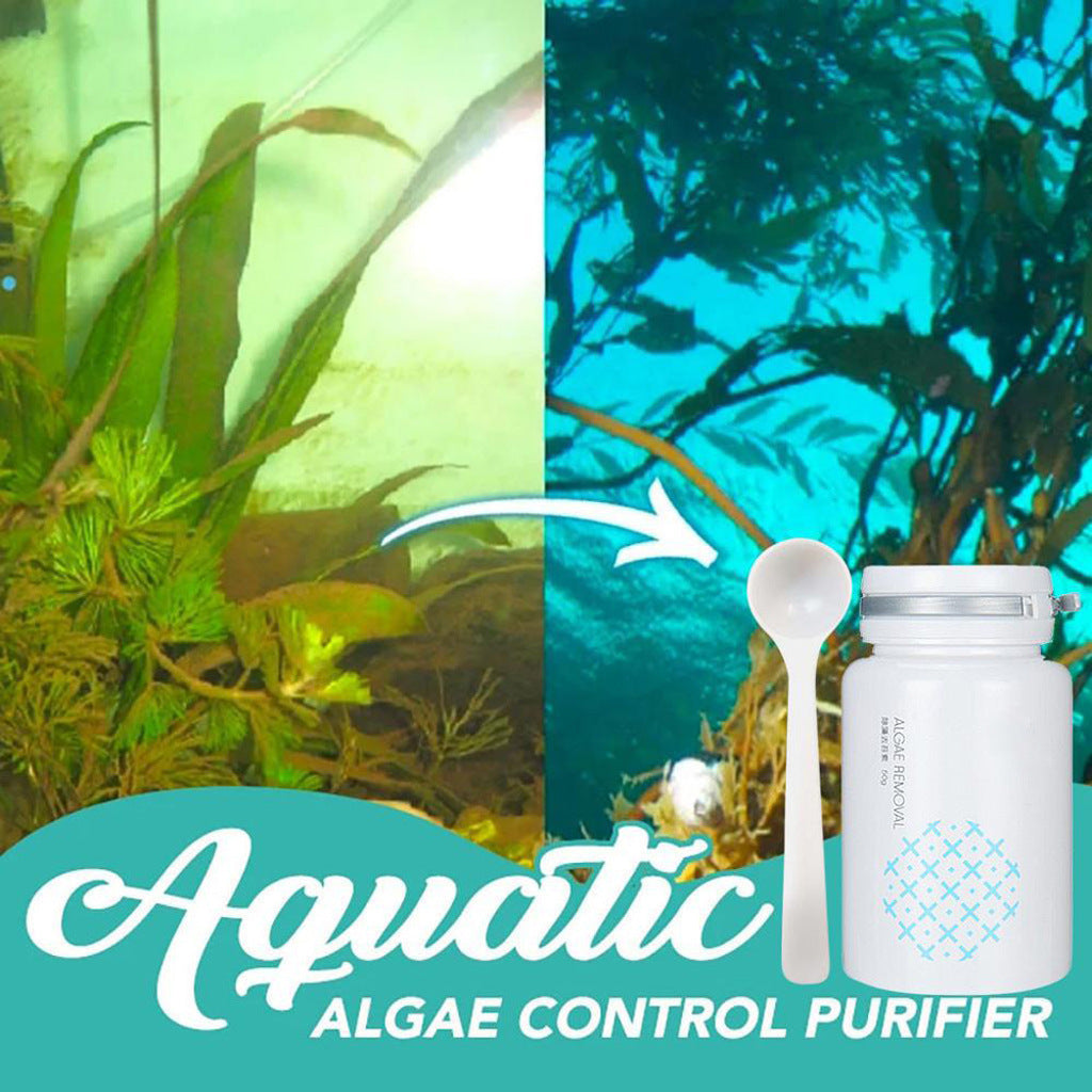 Algae removal and moss removal for swimming pools