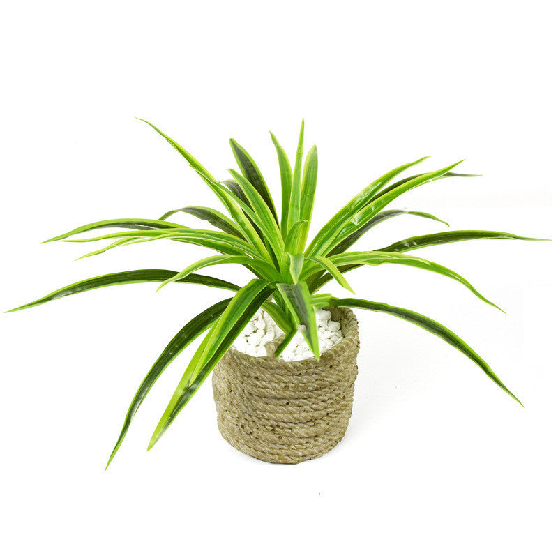 Chlorophytum plant wall flower arrangement