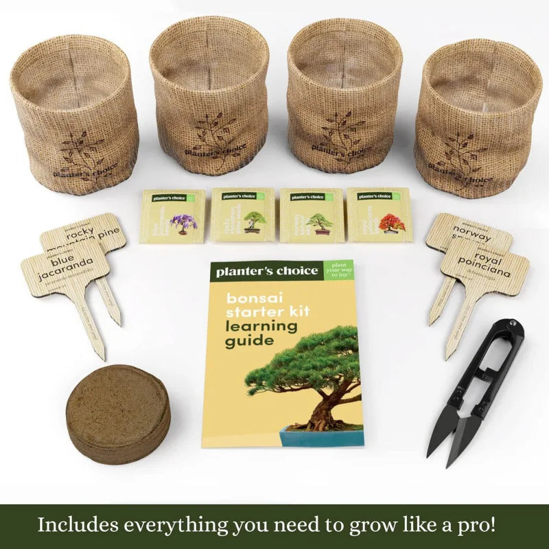 Bonsai Starter Gardening Kit for Adults Bonsai Tree Growing Garden Crafts Kits DIY Hobby for Plant Lovers Unusual Ideas Gifts