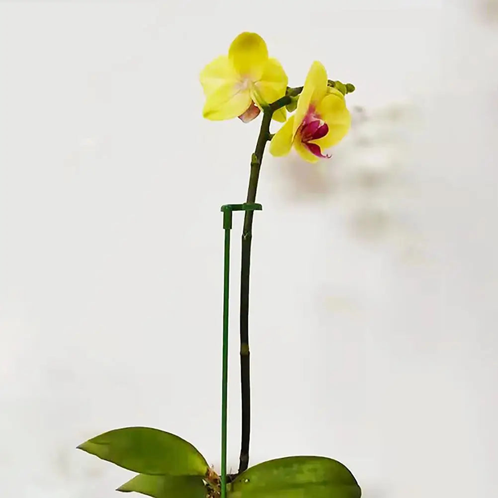 40 Pcs Flower Stand Plant Support Rack Sticks Orchid Stake Gardening Growth Poles Plastic Small Potted Fixed Rods Green Home