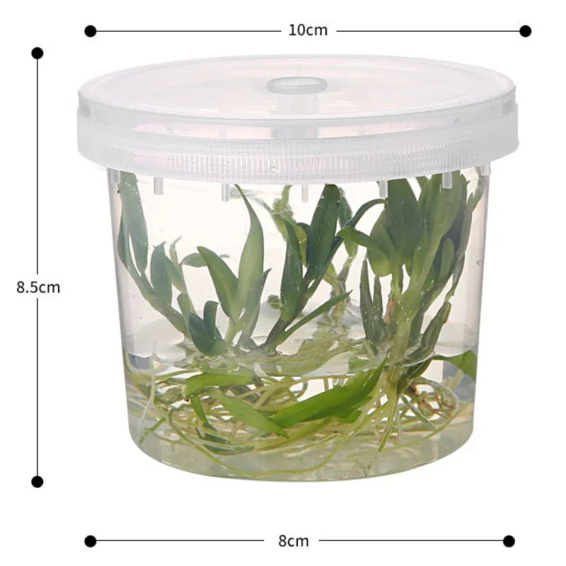 480mL Tissue Culture Vessels Lid with Holes, PP Plastic Tissue Culture Plantlet Container, Plantlet Bottle Wide-mouth Bottle