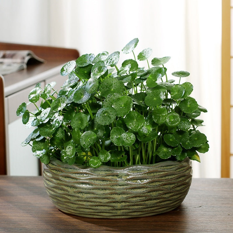 Ceramic Green Plant Flower Pot