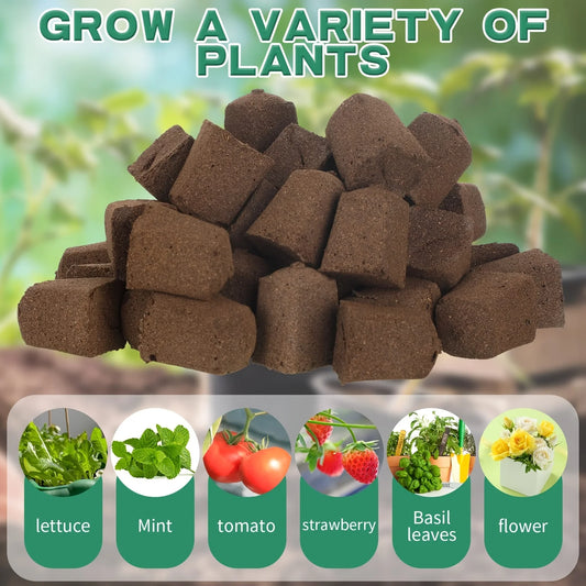 40-Piece Square Indoor Hydroponic Plant Growth Sponge Kit, Seed Germination Starter Compatible with Aerogarden System
