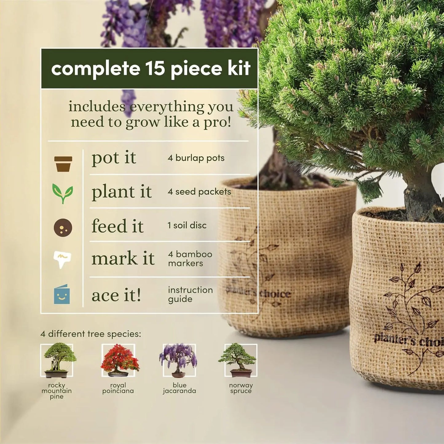 Bonsai Starter Gardening Kit for Adults Bonsai Tree Growing Garden Crafts Kits DIY Hobby for Plant Lovers Unusual Ideas Gifts