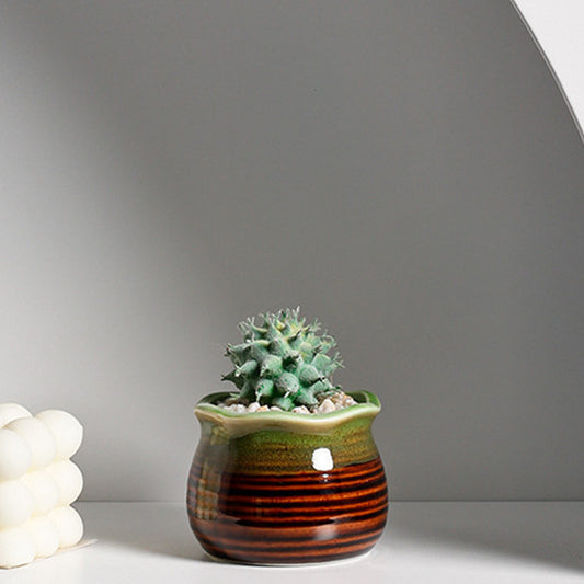 Ceramic Succulent Flowerpot Decoration Decorative