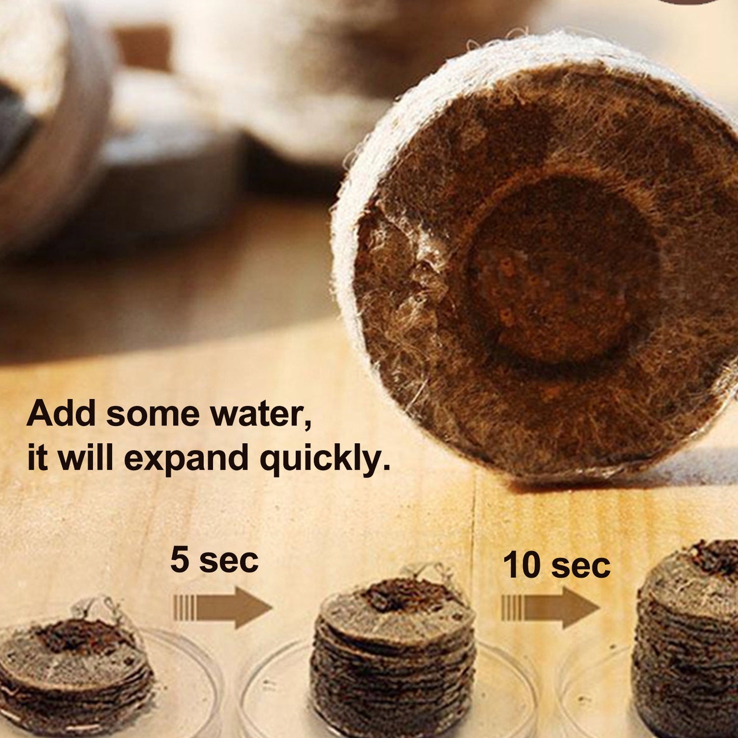 3cm diameter seedling mud