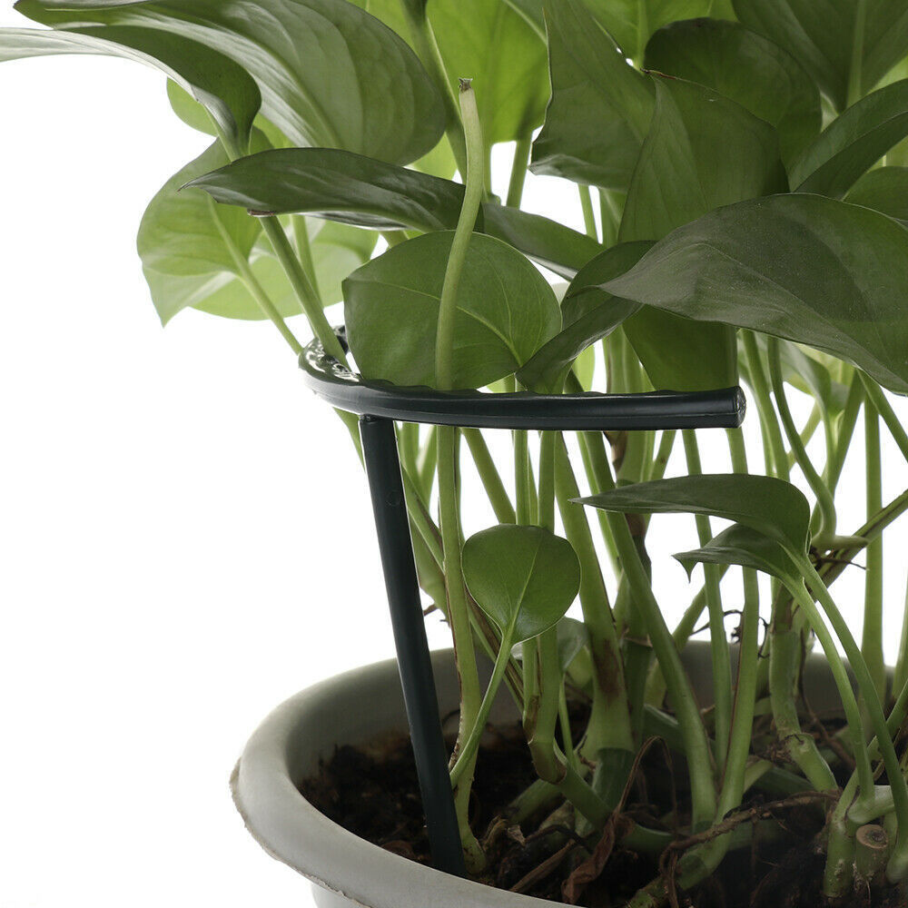 DIY Plant Flower Climbing Bracket Bracket Cage