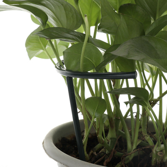 DIY Plant Flower Climbing Bracket Bracket Cage