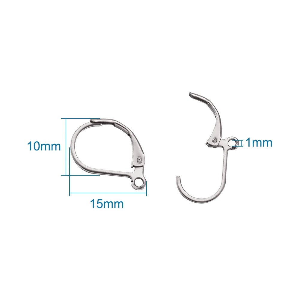 100pcs 304 Stainless Steel Earring Hooks French Leverback Earring Findings with Loop for Hoops Earrings DIY Jewelry Making