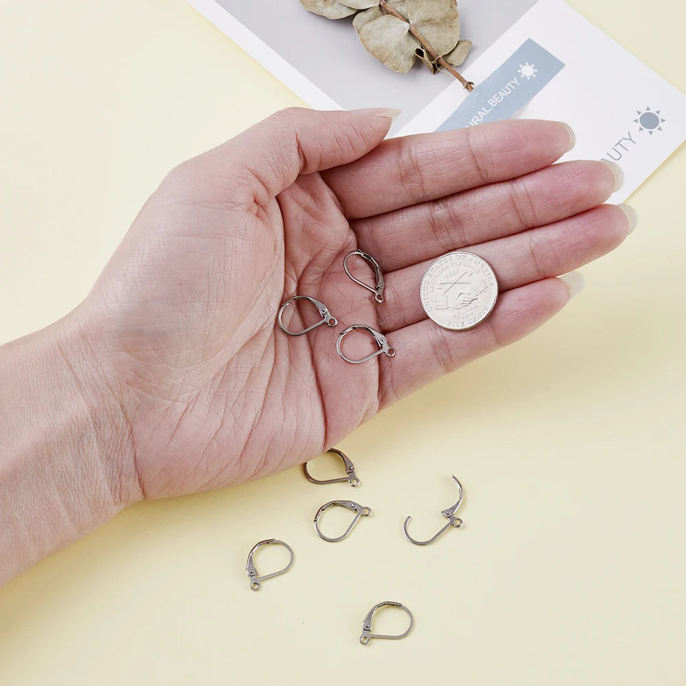 100pcs 304 Stainless Steel Earring Hooks French Leverback Earring Findings with Loop for Hoops Earrings DIY Jewelry Making
