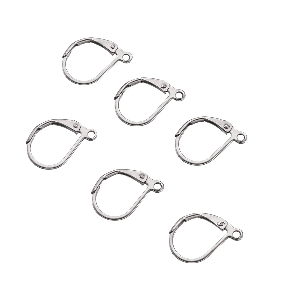 100pcs 304 Stainless Steel Earring Hooks French Leverback Earring Findings with Loop for Hoops Earrings DIY Jewelry Making
