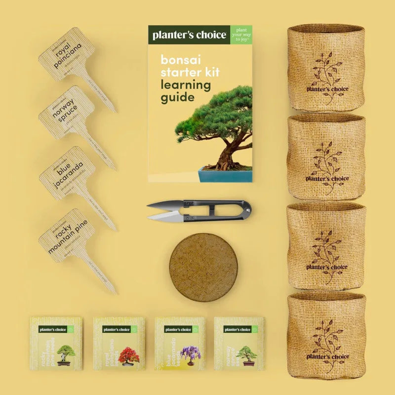 Bonsai Starter Gardening Kit for Adults Bonsai Tree Growing Garden Crafts Kits DIY Hobby for Plant Lovers Unusual Ideas Gifts