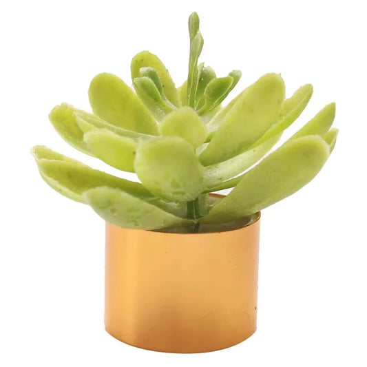 1pcs Mini Plant Gold Silver Flowerpot Miniature Simulation Succulent Plants Toy Play Dollhouse Room Garden Art Accessories