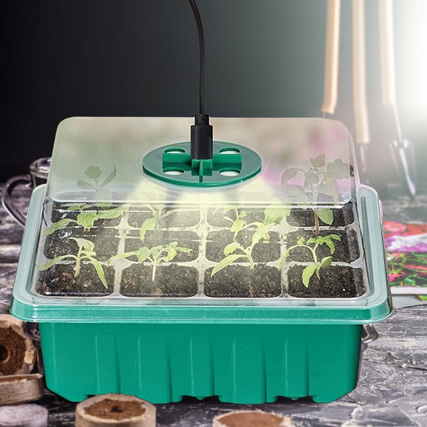 12 Well Seedling Pot With Lamp