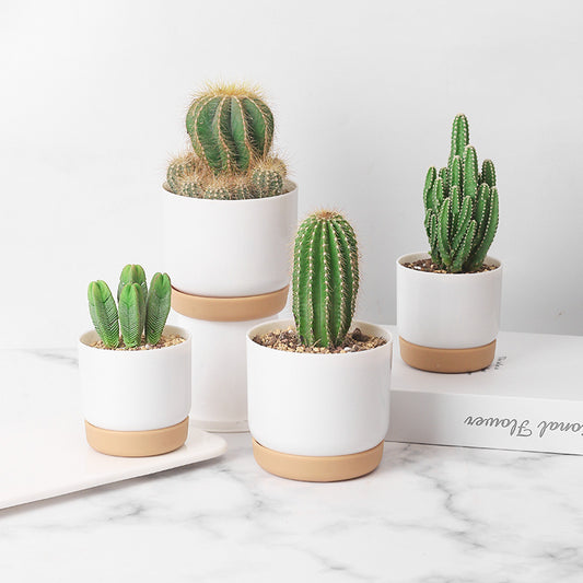 Ceramic Plastic Lazy Person Automatic Water Absorption Small Flower Pot