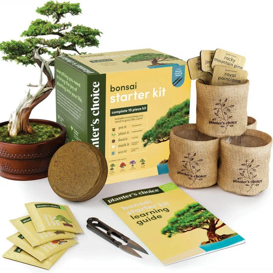 Bonsai Starter Gardening Kit for Adults Bonsai Tree Growing Garden Crafts Kits DIY Hobby for Plant Lovers Unusual Ideas Gifts