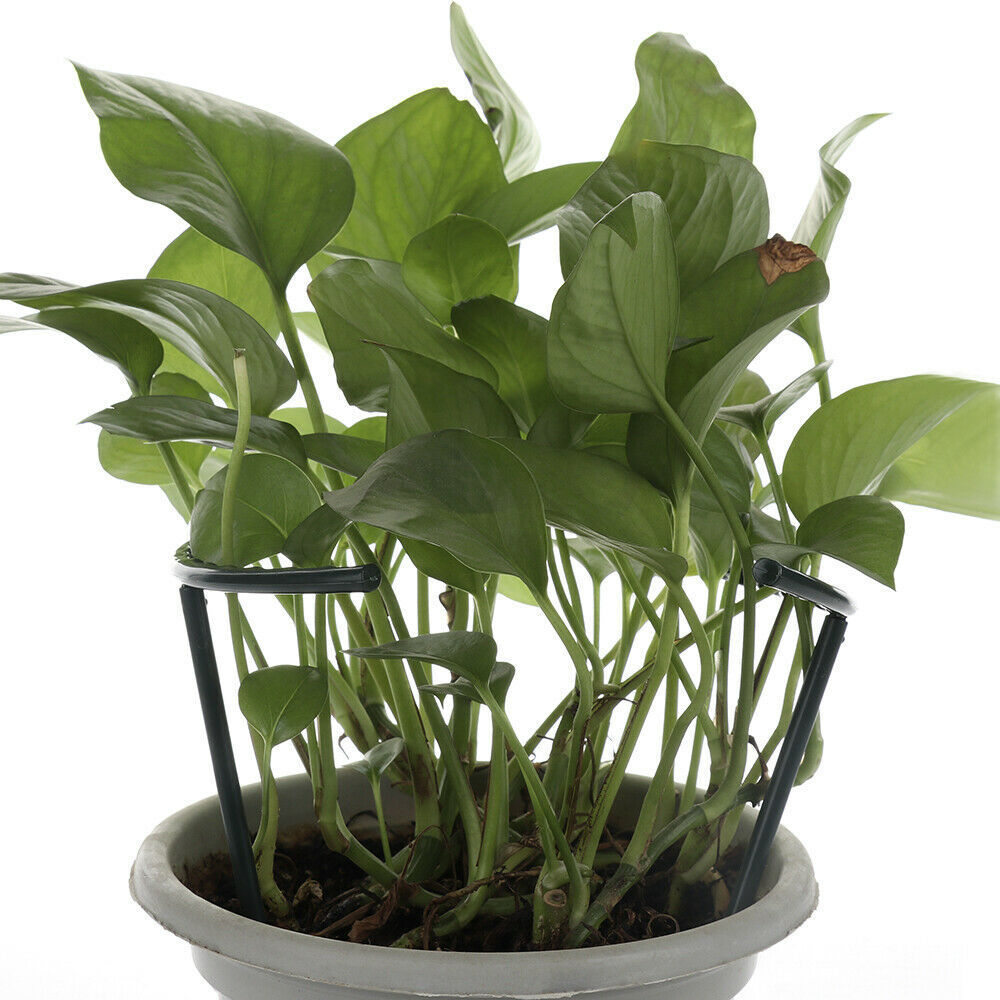 DIY Plant Flower Climbing Bracket Bracket Cage